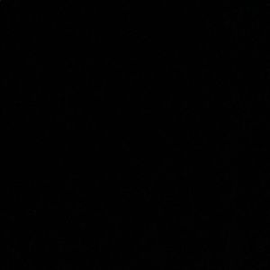 Meet your Posher, Brynn